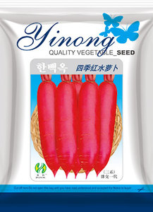 四季紅水蘿卜