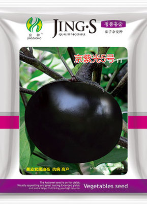 京紫光5号