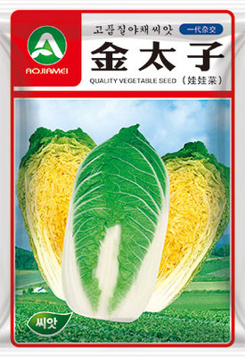 金太子